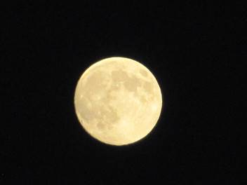 IMG_7857